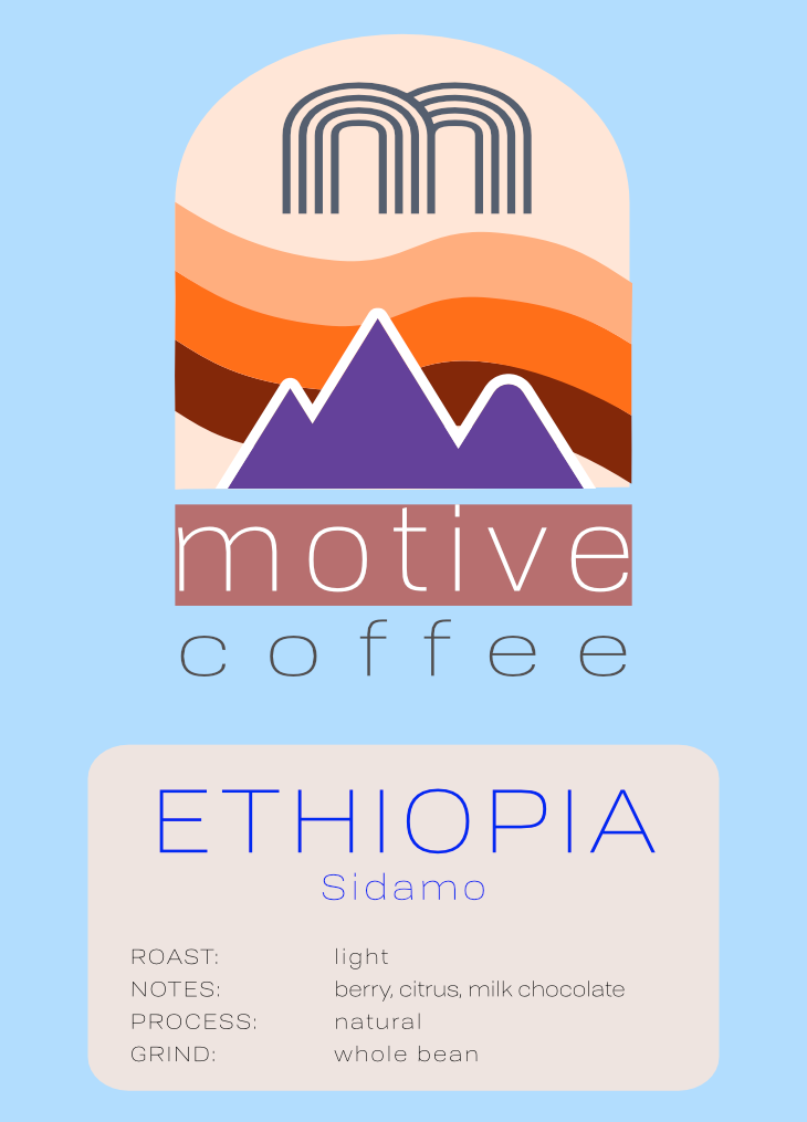 Ethiopia Sidamo
